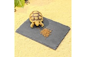 Natural Slate Basking Platform for Reptiles Bearded Dragon Tortoise Turtle Habitat Accessory Heat Retention, Anti-Slip Design