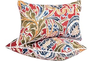 JMGBird Outdoor Lumbar Pillows Set of 2 with PP Cotton Fill for Patio Furniture Decorative Pillows 12x20 Inch