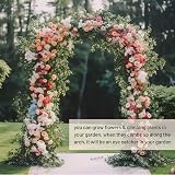Crystals Garden Metal Arch 2m Arched Trellis Tubular Arbour for Climbing Plants view 3