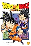 Dragon Ball Super, Vol. 12: Meru's True Identity