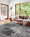 Loloi II Samra Collection SAM-06 Charcoal/Silver