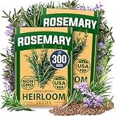 HOME GROWN Rosemary Seeds, 300 Seeds, Salvia rosmarinus | High Germination, Heirloom, Non-GMO | 300 Seeds (150 Each, 2 Pack) | Indoor or Outdoor | Herb Gardens | Rosemary Herb