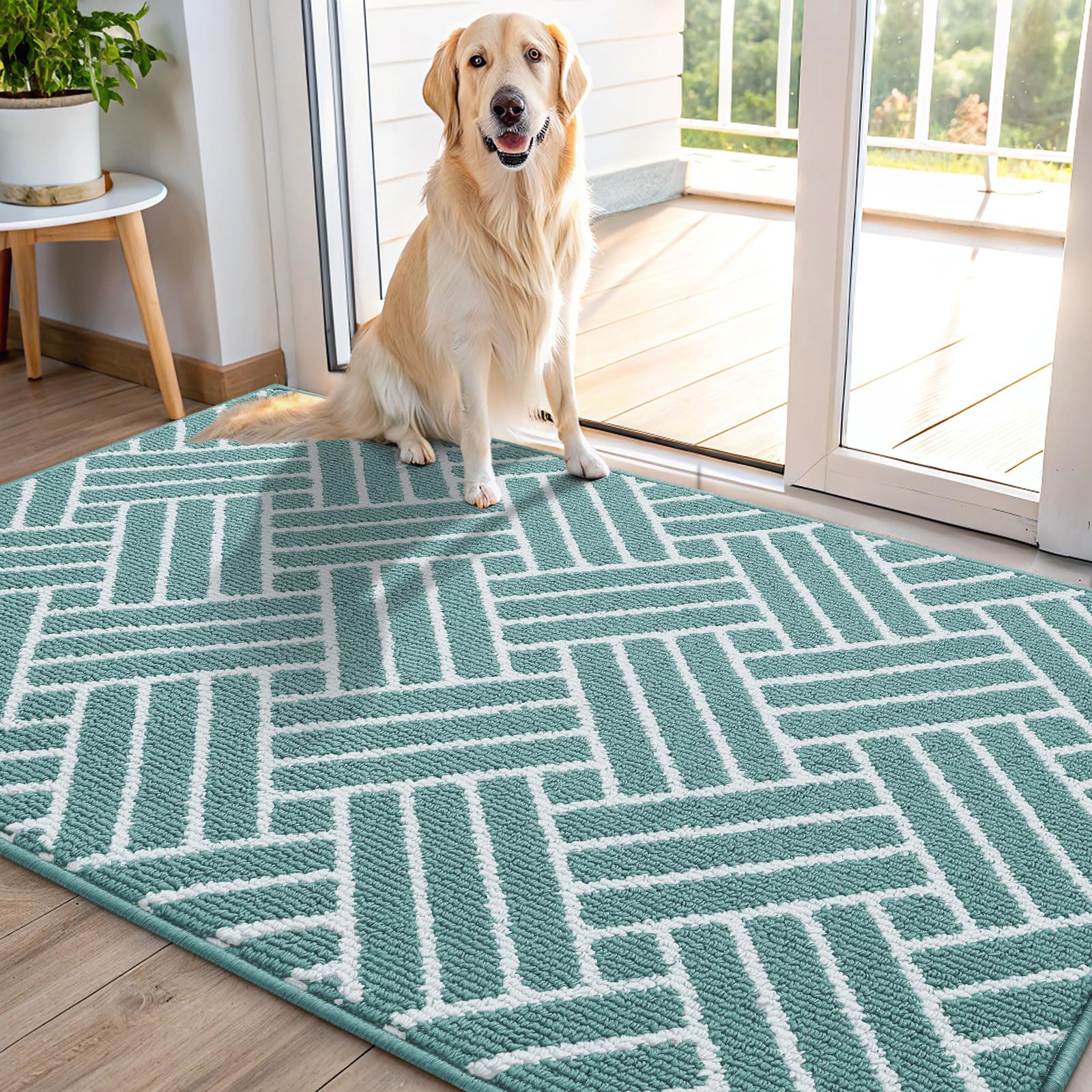 OLANLY Indoor Door Mat, 48x32 Inch, Dirt Resistant and Absorbent, Non-Slip Rubber Backing Floor Mats, Easy Clean Low-Profile Doormat for Entryway, Front Door, and Inside Entrance, Sage Green Image