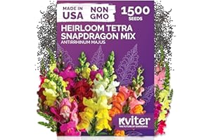 KVITER 1,500 Tetra Mix Snapdragon seeds (Antirrhinum Majus) – Heirloom & Organic Tall Snap Dragon Mix, Annual Flower Garden seeds, Cut Flower Seeds for Planting – Ideal for Outdoor Garden & Containers