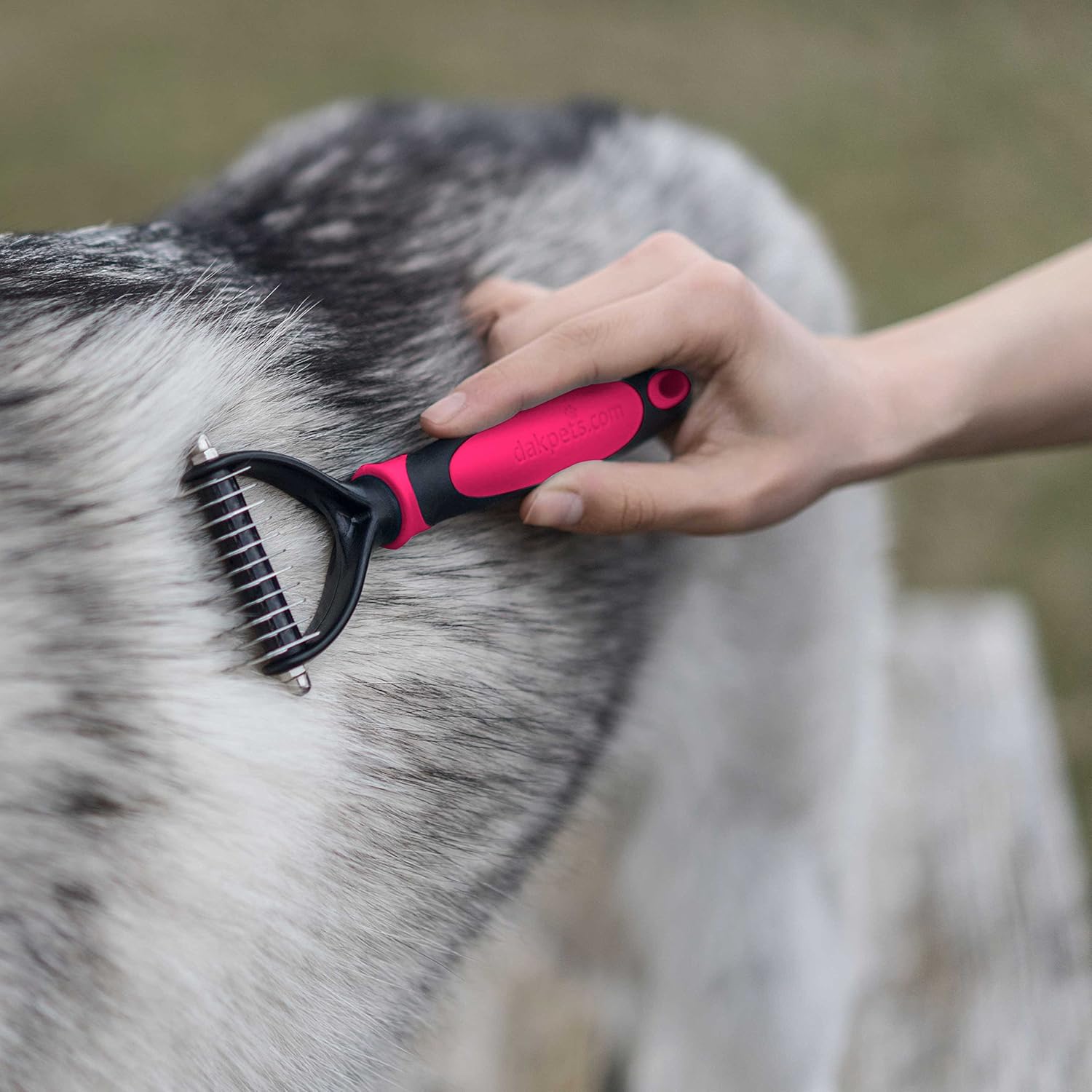Lo è Un Pettine Con Pochi Denti