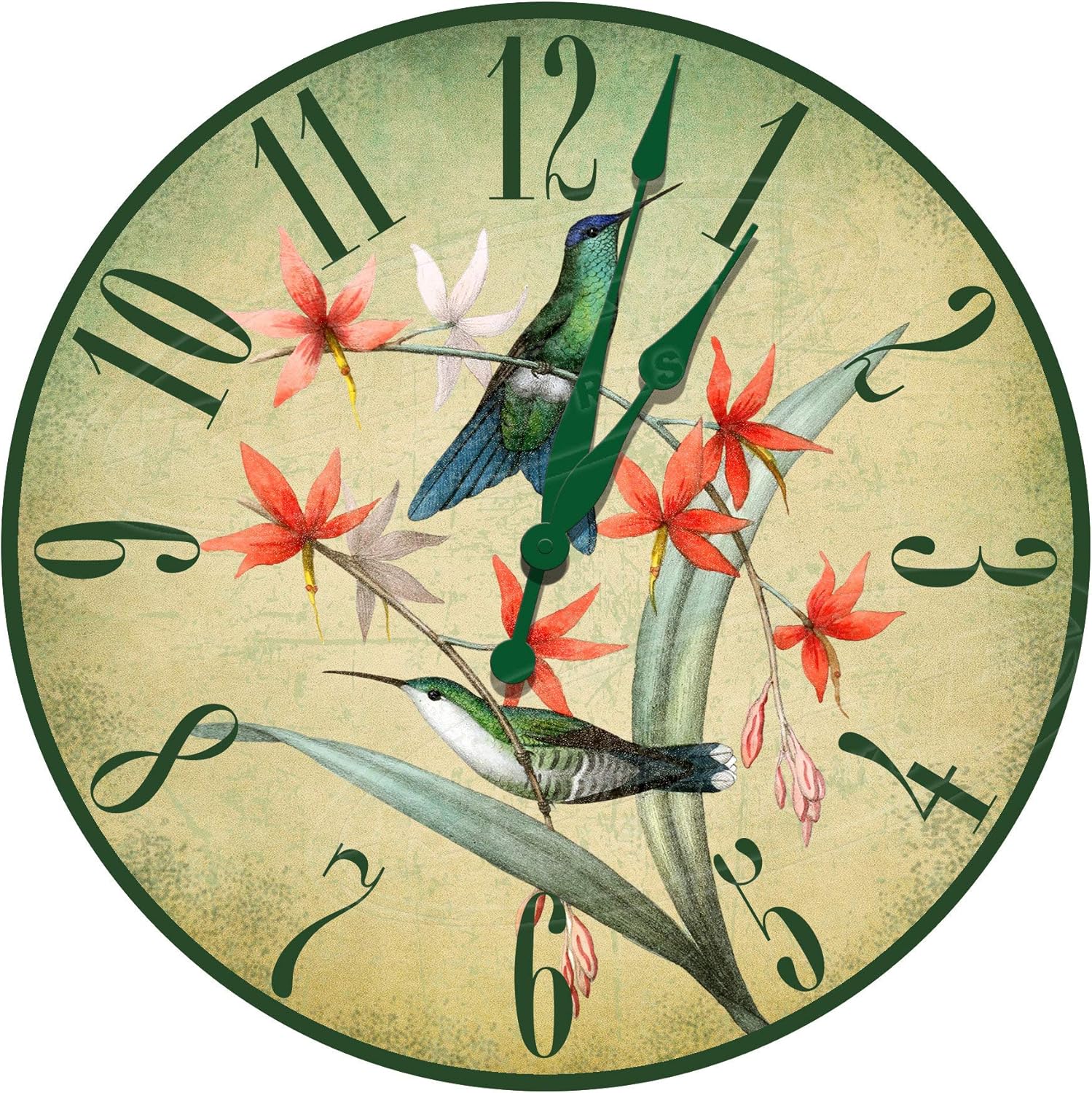 Ol322ay Wild Hummingbird Garden Themed Decorative Wall Clock Amazon.co.uk Kitchen & Home