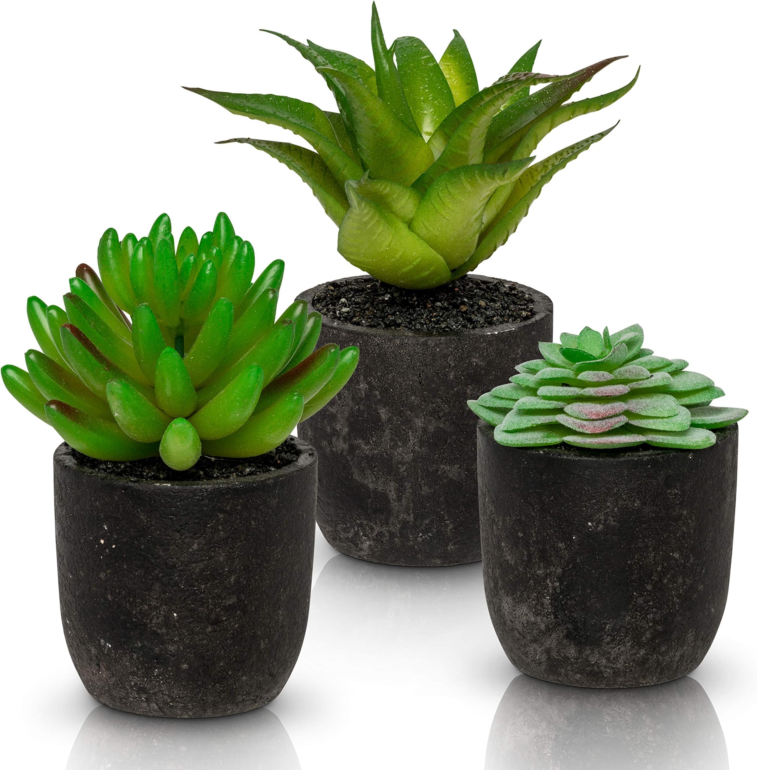 Ashbrook Outdoors Artificial Succulent Plants with Pots (Set of 3) | 3 Faux Plants in Potted Dark Gray Succulent Planters | Modern Home Décor Accents for The Office, Desk, Living Room, and More