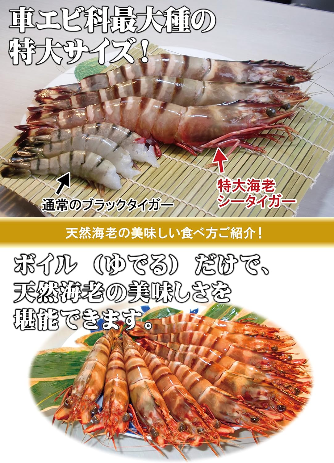 Amazon 特大天然海老１２尾入 長さ約２５ｃｍ 冷凍 エビフライ 鉄板焼き 海鮮 バーベキューにおすすめ 有頭シータイガー海老 １ ３ｋｇ エビ 通販