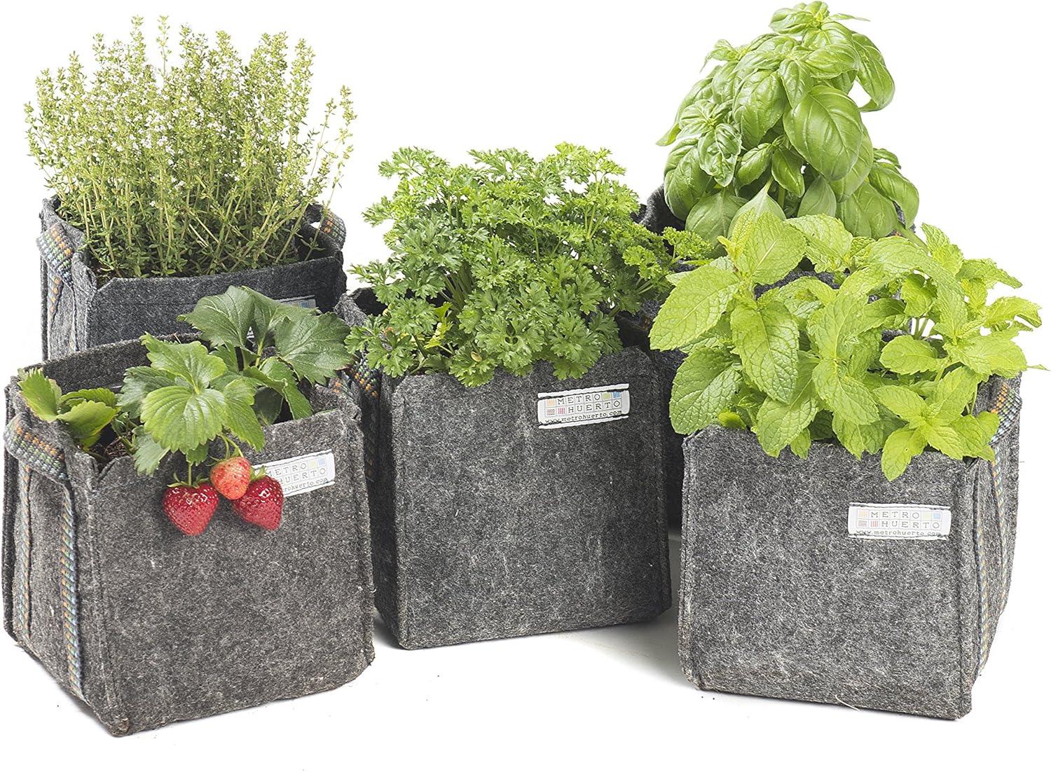 Saco Mini Mh (15x15x15cm) para cultivo + Manual Agricultura Urbana ...