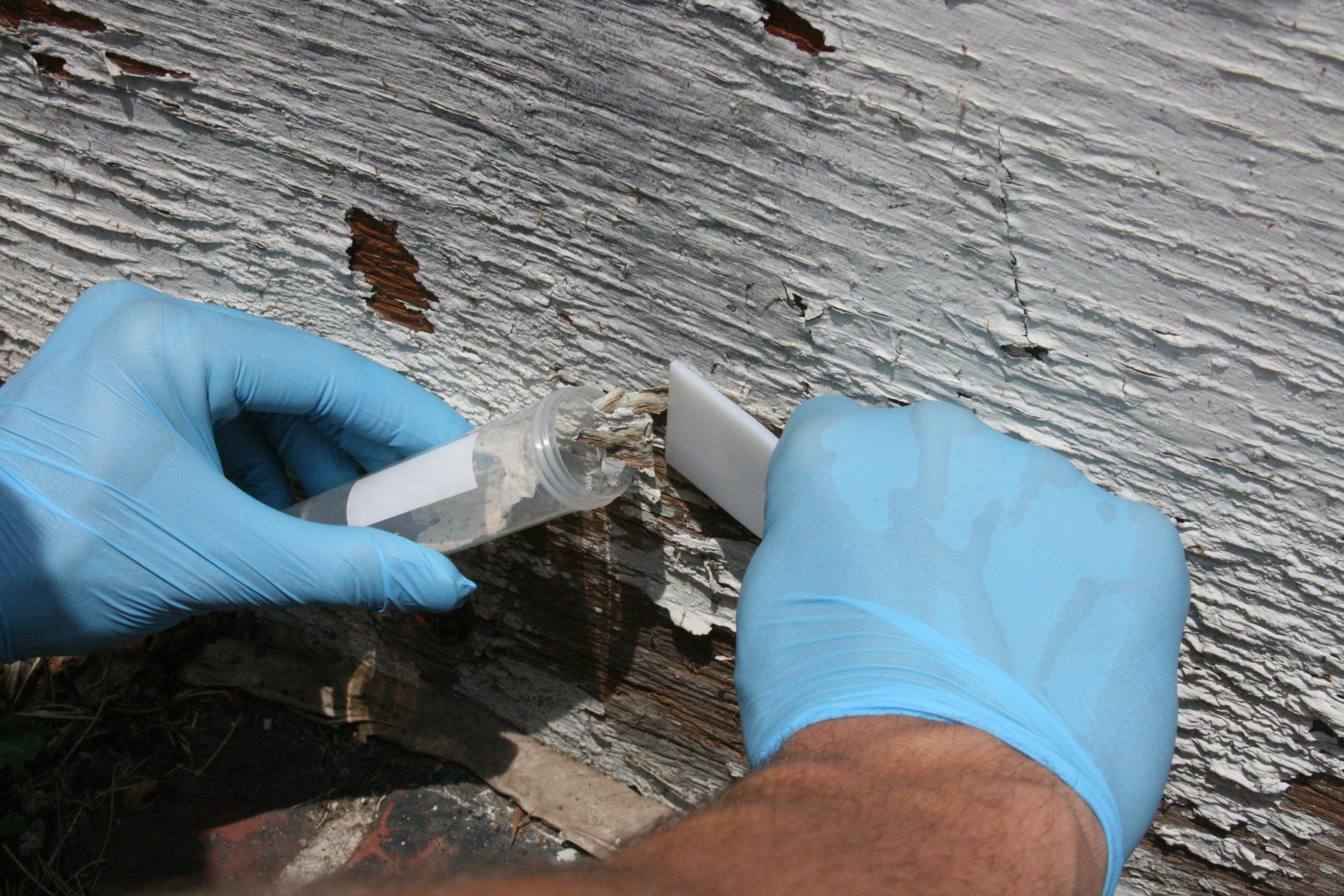 Lead Test Kit In Paint, Dust, Or Soil 5PK (5 Bus. Days) Schneider Labs