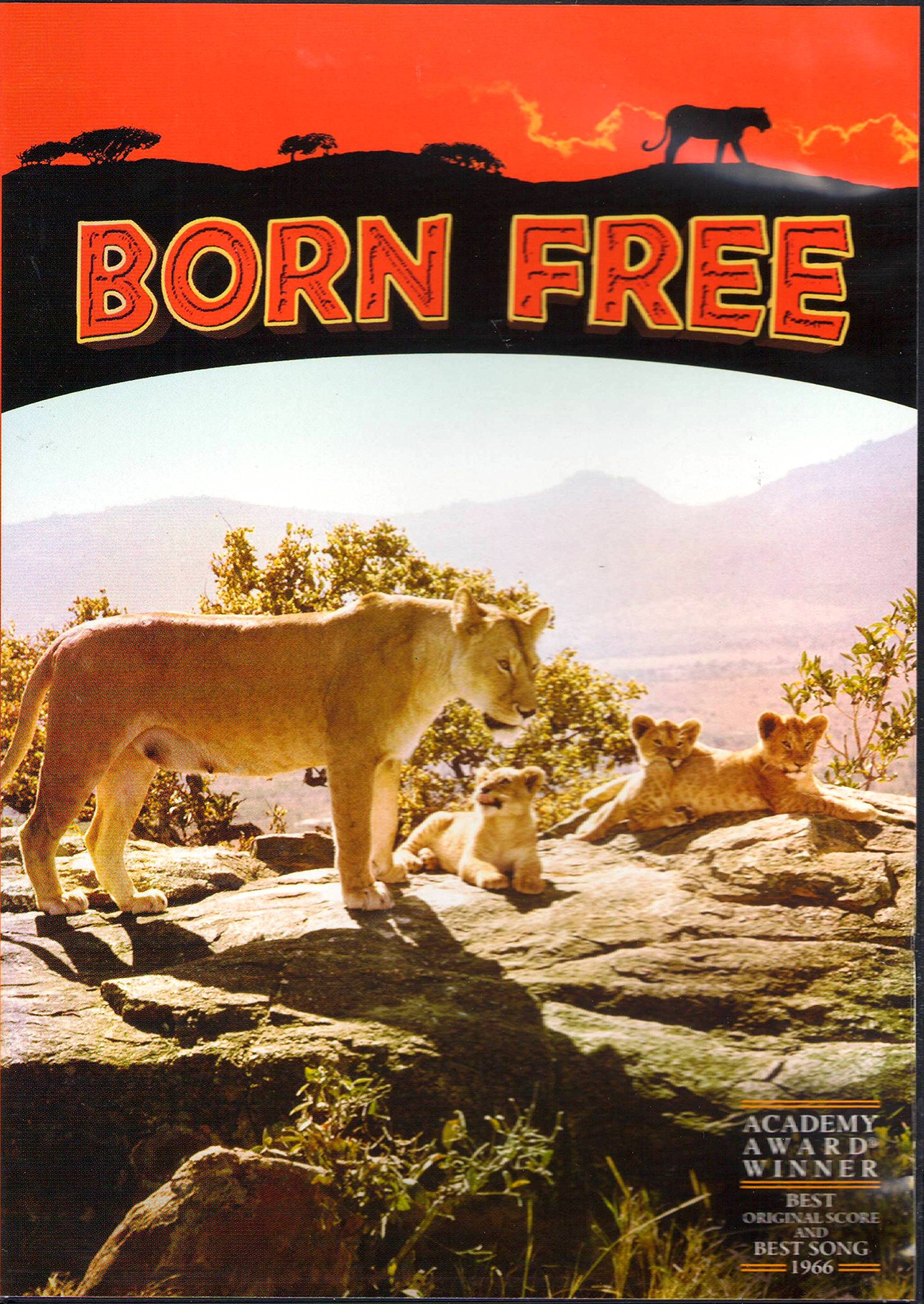 Photo 1 of Born Free