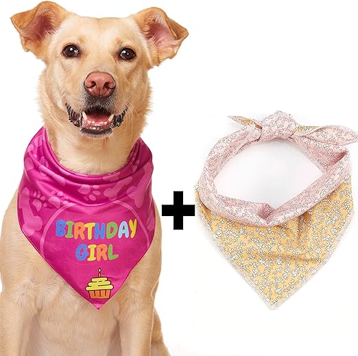 birthday girl bandana for dogs