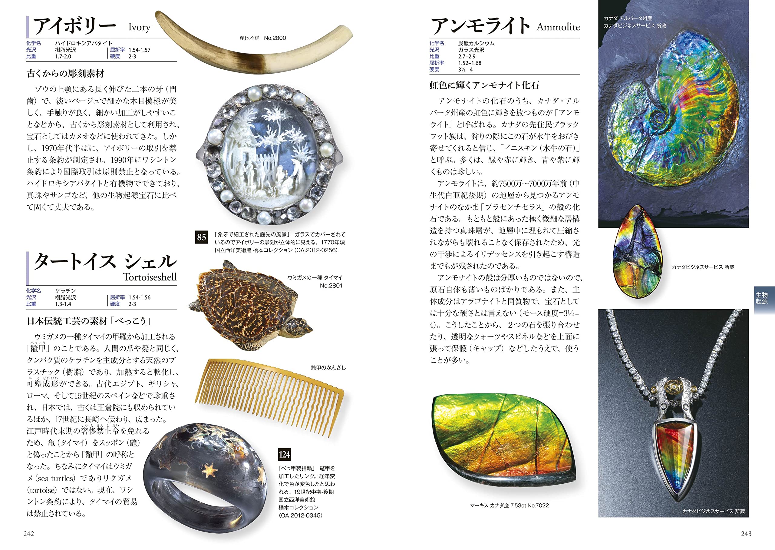 起源がわかる 宝石大全