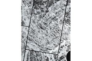 Wiel Arets-Bas Princen