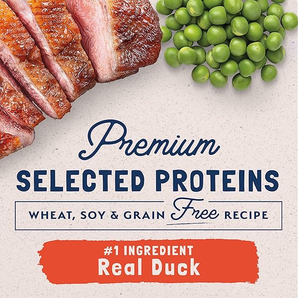 NATURAL BALANCE LIMITED INGREDIENT ADULT GRAIN-FREE WET CANNED CAT FOOD, DUCK & GREEN PEA RECIPE, 5.5 OUNCE (PACK OF 24)