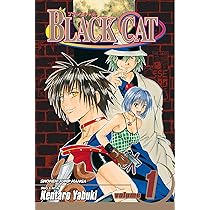 Black Cat, Volume 1 | Amazon.com.br