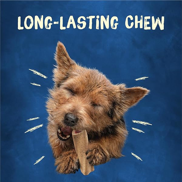 PURINA BUSY BONE SMALL BREED ADULT DOG CHEW BONE TREATS, MINI – 20 CT. POUCH