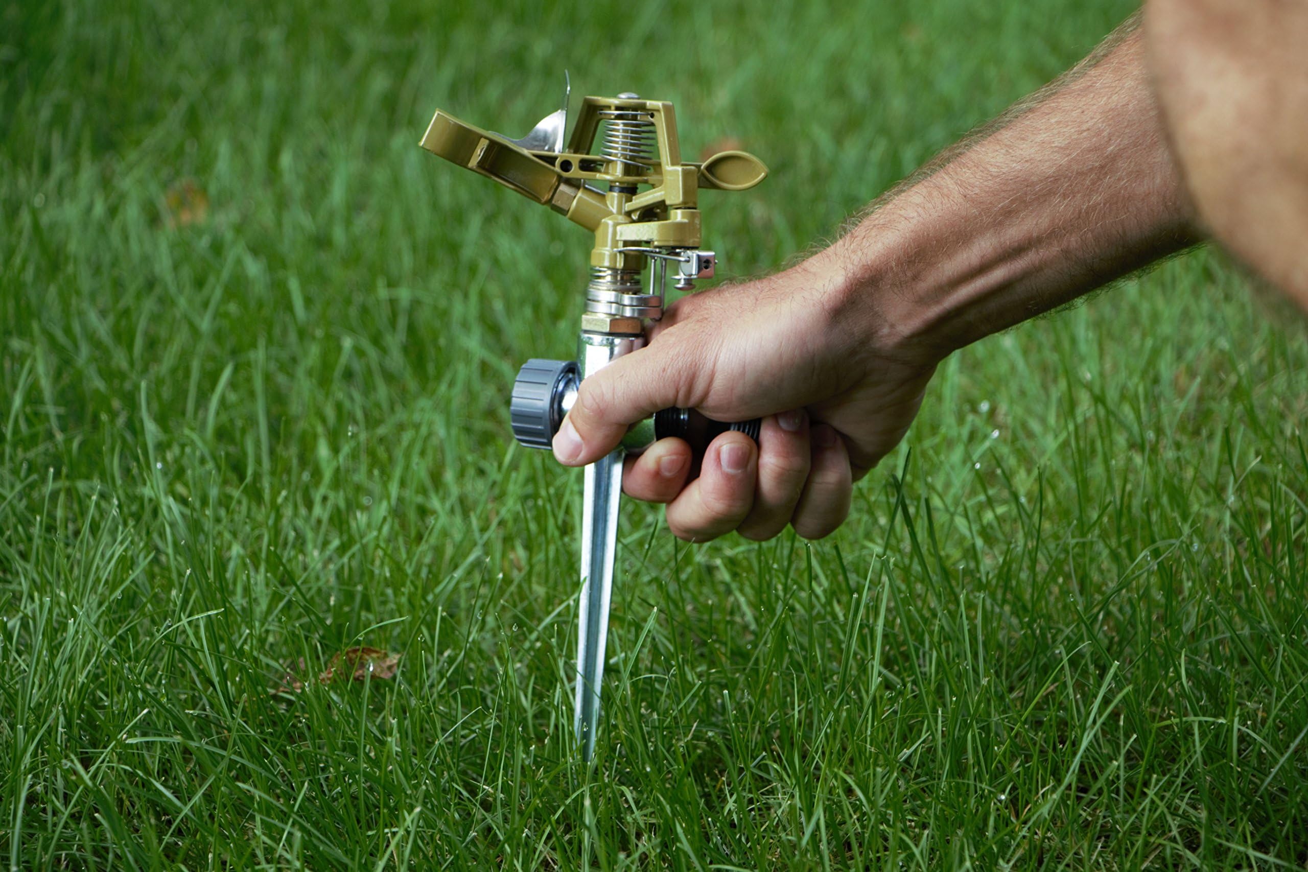 Lawn Sprinklers : Premium Quality Garden Lawn Sprinklers, Best Fun Water Sprinkler System โ Gardens & Kids Love Them, by Careful Gardener (green spike)