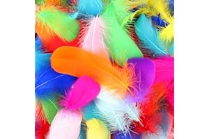 HaiMay 450 Pieces Colorful Feathers for Craft Wedding Home Party Decorations, 3-5 Inches 10 Colors Craft Feathers