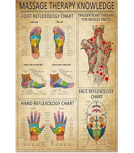 thumbnail image 2 of RAC Hand Reflexology Chart - LAMINATED - Reflexology Store 2 of 13
