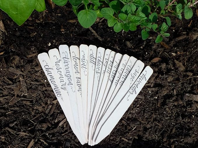 Paquete completo de 14 estacas ecológicas para decoración de casas ...