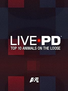 Watch Live Pd Top 10 Animals On The Loose Season 1 Prime Video