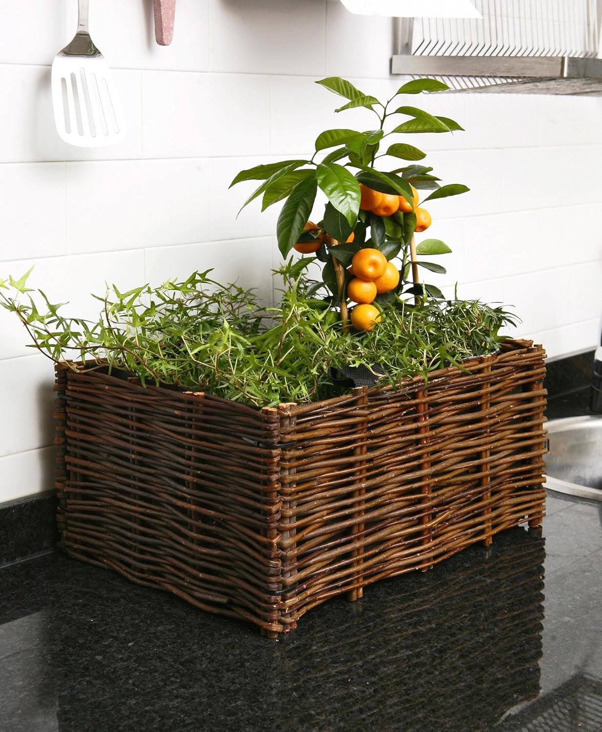 Catral 71080001 - huerto urbano kit planter, 30 x 40 x 20 cm ...