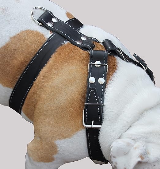 great dane dog harness