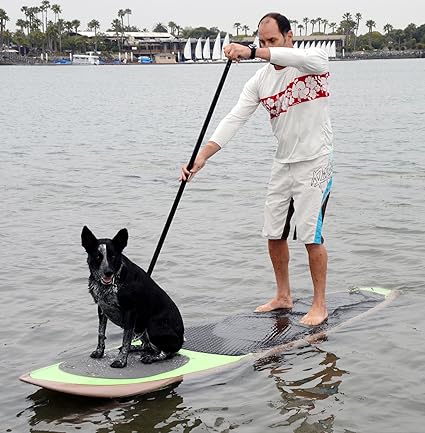 Better Surfthan Sorry Paddle 