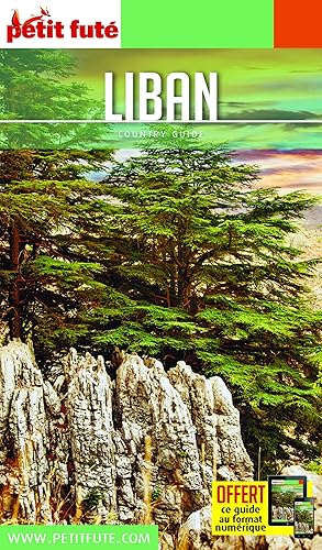 Download Petit Futé Liban PDF