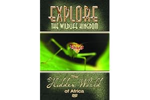Explore the Wildlife Kingdom: Hidden World of Africa