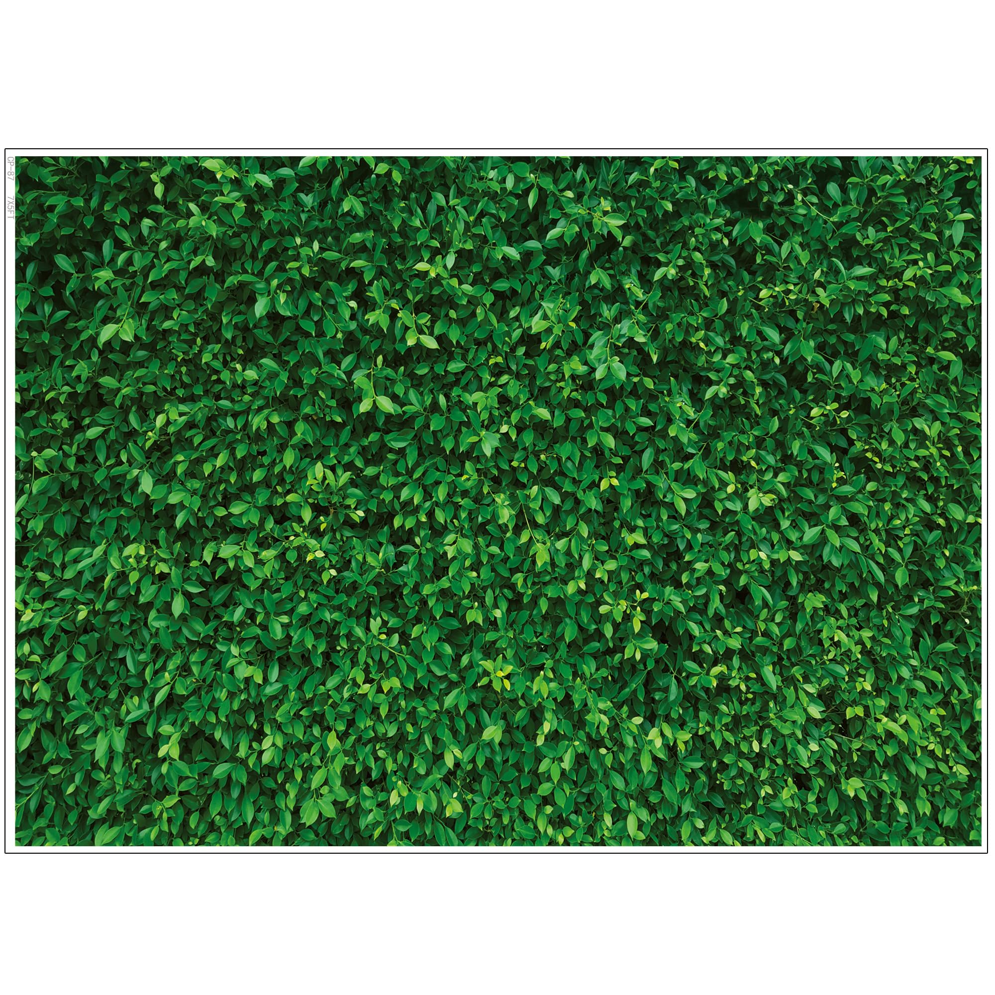 Photo 1 of LYWYGG 7x5FT Vinyl Green Leaves Photography Backdrops Nature Backdrop Birthday Background for Birthday Party Seamless Photo Booth Prop Backdrop CP-87