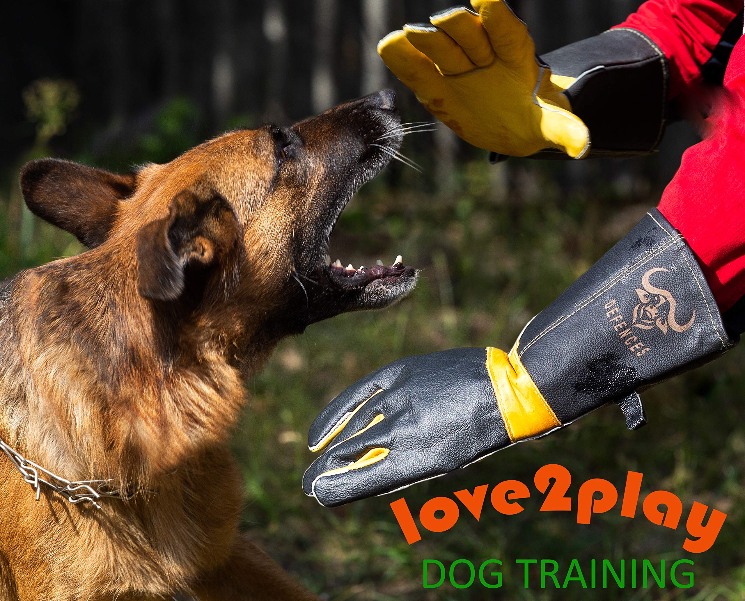 DEFENCES Scratch/Bite Resistant Gloves Gauntlet For Dog Cat Bird Snake