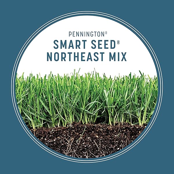 PENNINGTON 100543707 SMART SEED NORTHEAST GRASS MIX 7 LB, BLACK LABEL