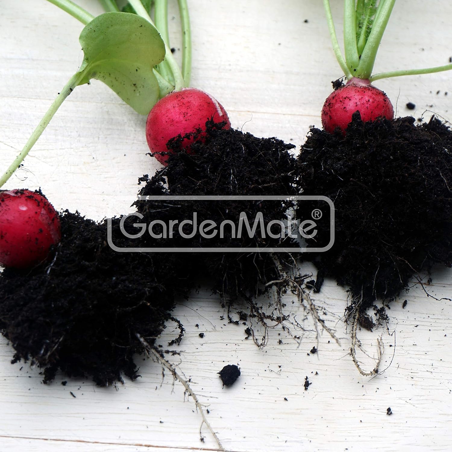 GardenMate® 5X 20l Sacos para Plantas de Malla geotextil ...