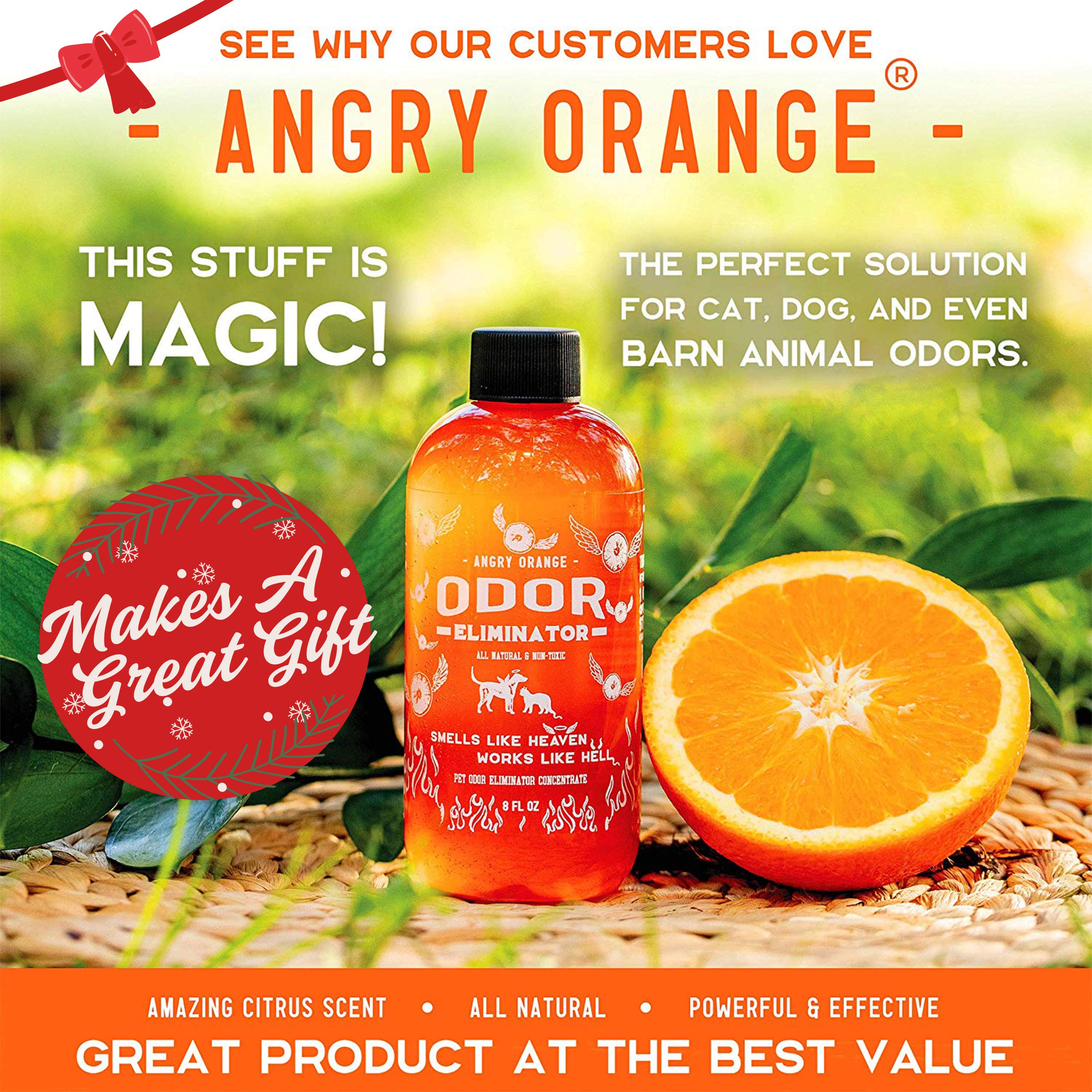 Angry Orange Pet Odor Eliminator for Dog and Cat Urine, Makes 1 Gallon