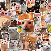 100Pcs Cat Meme Stickers, Funny Cat Sickers for Water Bottle - Pet Meme Party Decorations, Favors - Funny Decals - Gift for Women &amp; Men