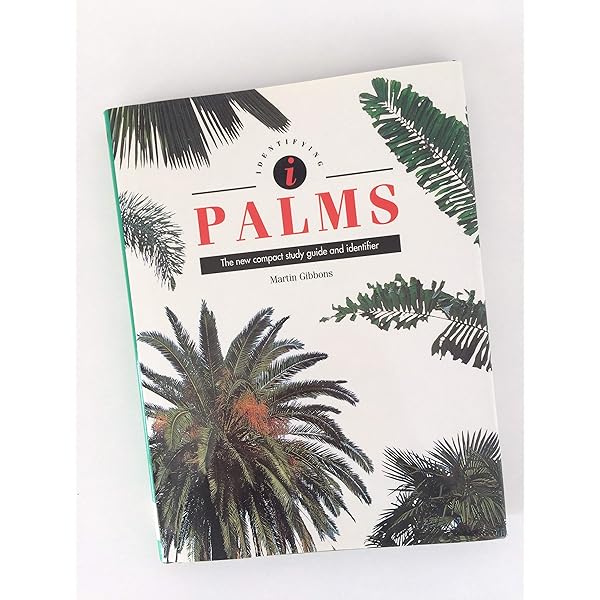 【入手困難！美品】THE BOOK OF PALMS 入手困難 美品 THE BOOK OF PALMS 入手困難品 稀少