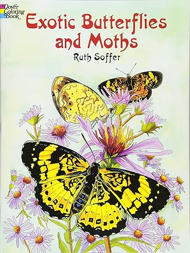 Download Exotic Butterflies and Moths PDF