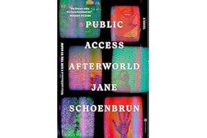 Public Access Afterworld: A Novel