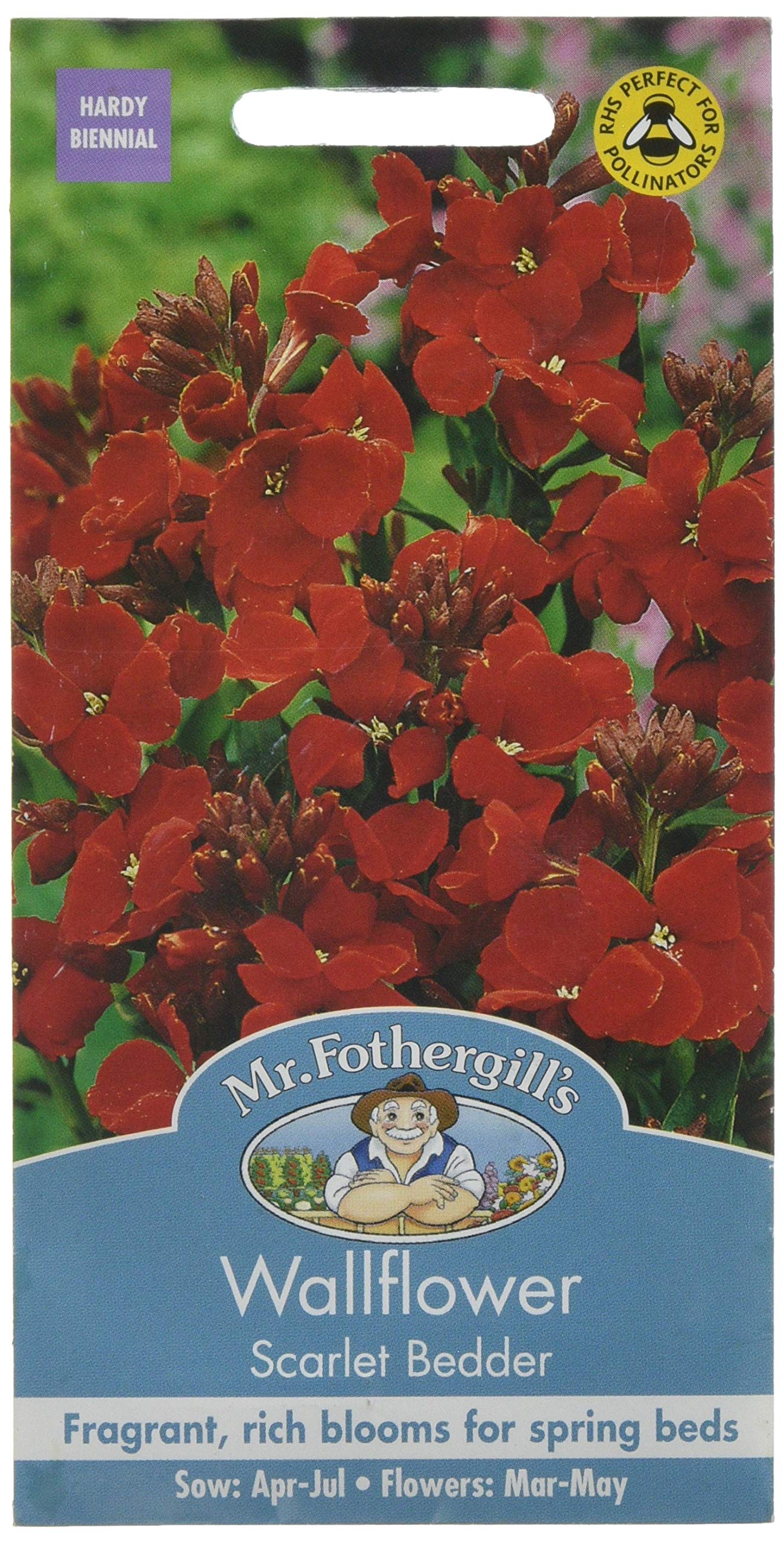Mr. Fothergill's Scarlet Bedder Wallflower Seeds