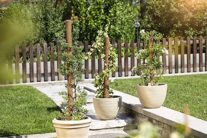 Windhager 05660 - Guía para Plantas (Extensible, Fibra de Coco, 60 ...