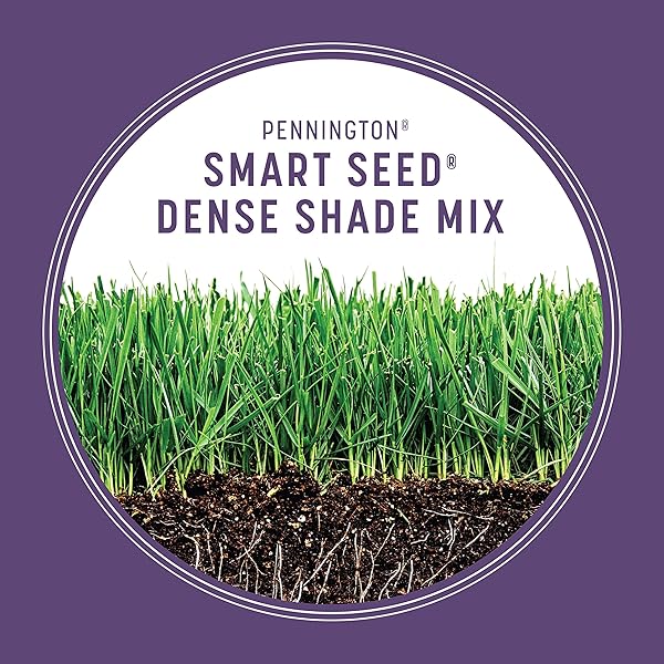 PENNINGTON SMART SEED DENSE SHADE GRASS MIX 3 LB