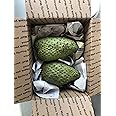 Fresh Guanabana (Soursop, Graviola) 1-2 Lb Fruit
