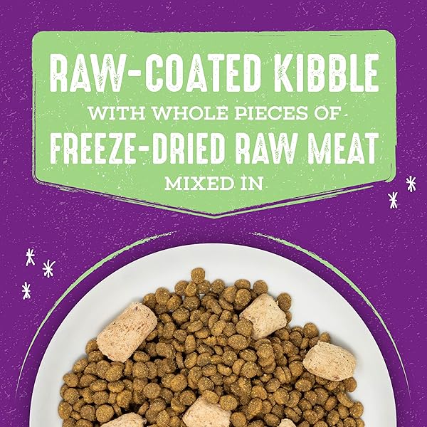 STELLA & CHEWY’S RAW BLEND PREMIUM KIBBLE CAT FOOD – GRAIN FREE, PROTEIN RICH MEALS – CAGE-FREE POULTRY RECIPE – 2.5 LB. BAG