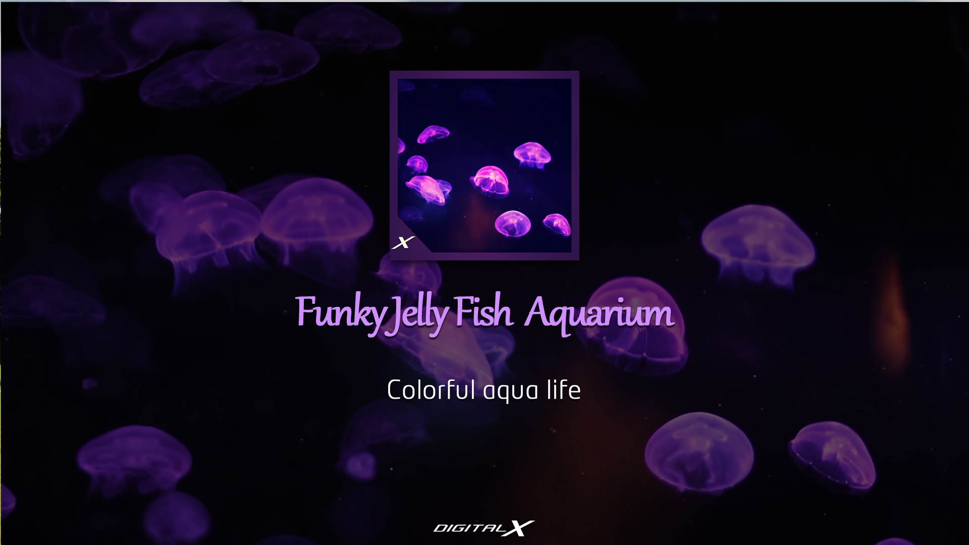 Funky Jelly Fish Aquarium - Colourful Aqua Life