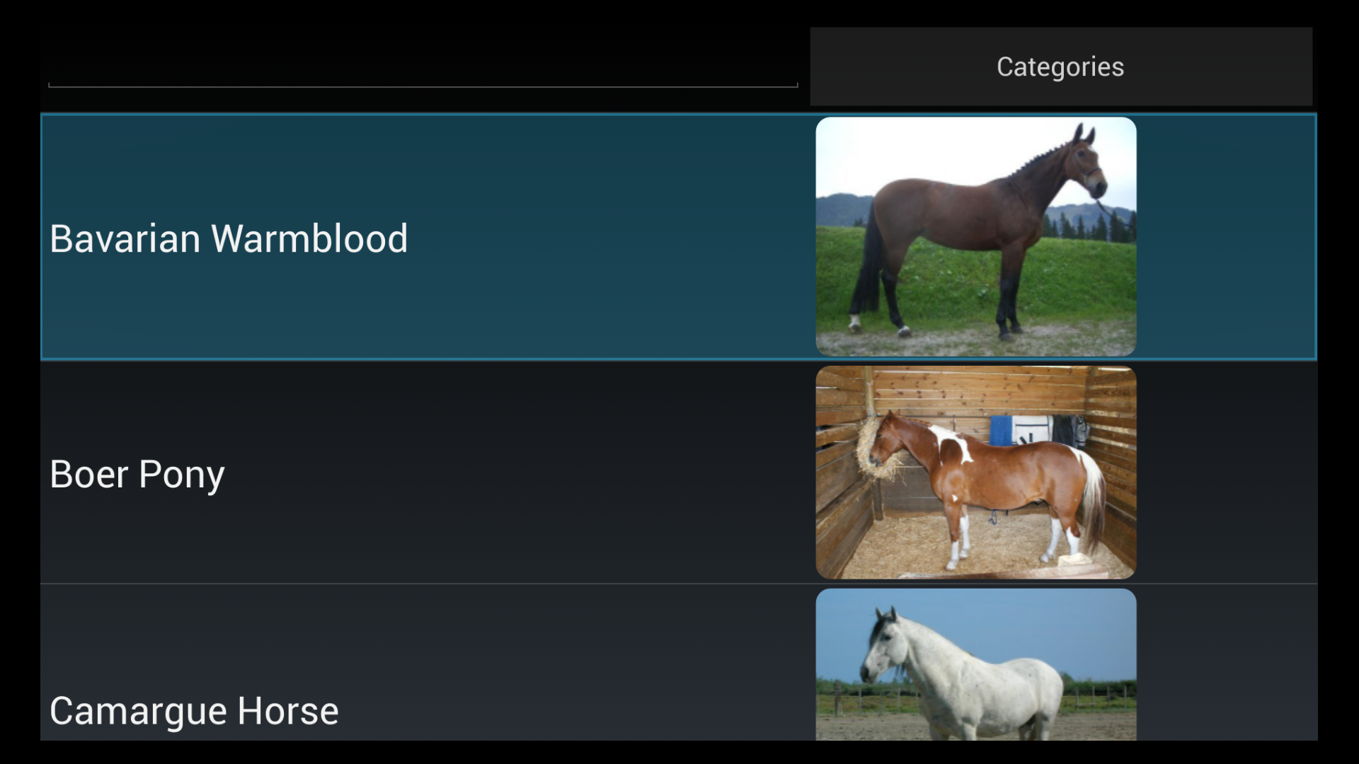 Name That Horse Breed - Thumbnail 6