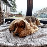 Pet Wiz Soft Fluffy Fleece Blanket Grey 80 x 100cm Medium view 4