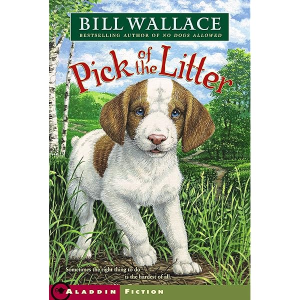 A Dog Called Kitty: Wallace, Bill: 9780812407570: Amazon.com: Books