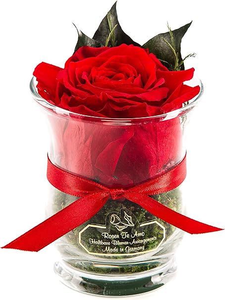 Rosen Te Amo 1 Premium Haltbare Rote Rose In Der Vase Mit Echten Bindegrun Konservierte Rose Im Glas Blumenstrauss 3 Jahre Haltbar Ohne Wasser Amazon De Garten